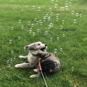 Meet your Posher, Erin